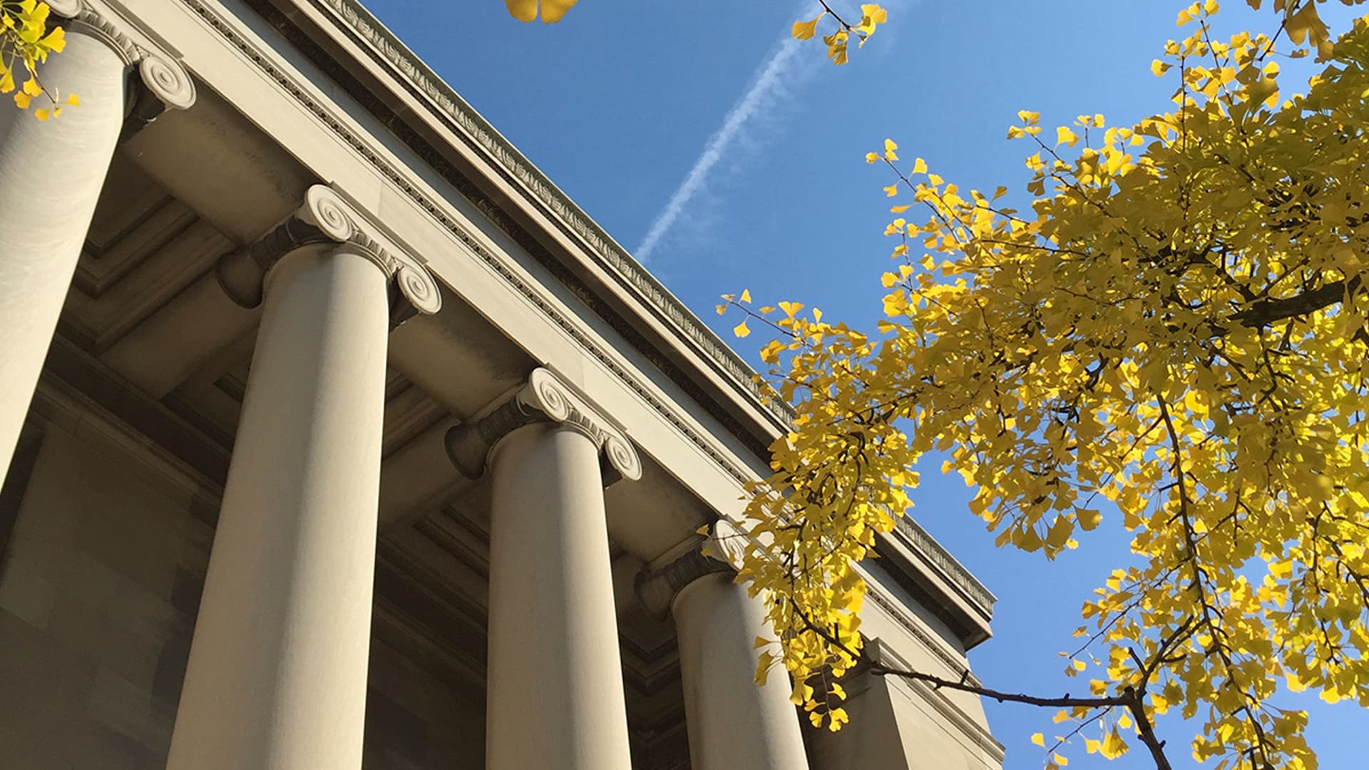 CMU Campus